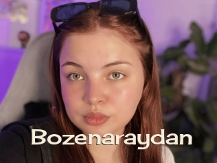 Bozenaraydan