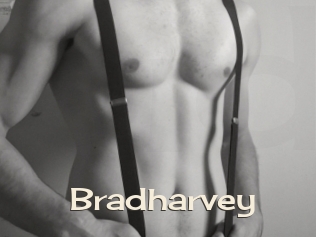 Bradharvey