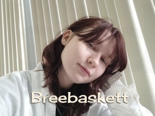 Breebaskett