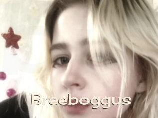 Breeboggus