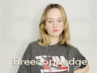 Breecoppedge