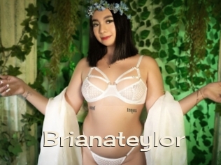 Brianateylor