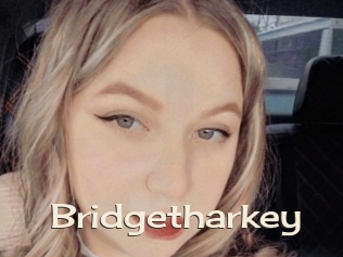 Bridgetharkey
