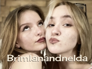 Brimlanandnelda
