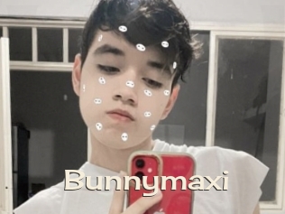 Bunnymaxi