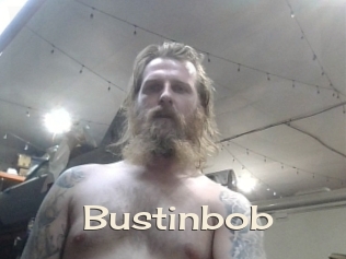 Bustinbob