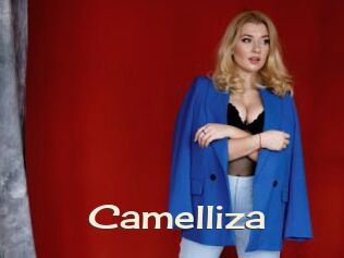 Camelliza
