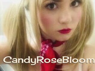 CandyRoseBloom