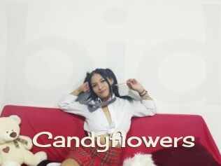 Candyflowers