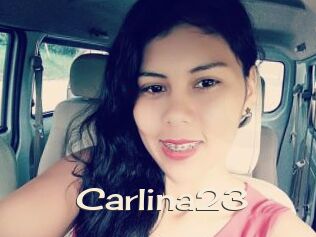 Carlina23
