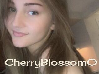 CherryBlossom0