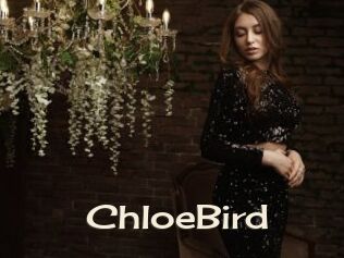 ChloeBird