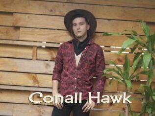 Conall_Hawk