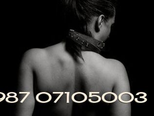 C86987-07105003