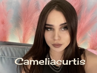Cameliacurtis