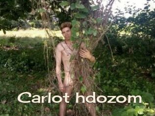 Carlot_hdozom