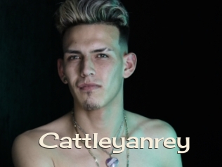 cattleyanrey Big Dicks Round Ass