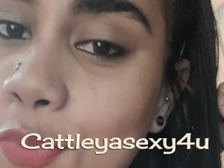 Cattleyasexy4u