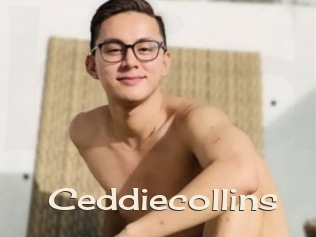 Ceddiecollins
