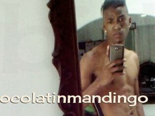 Chocolatinmandingo