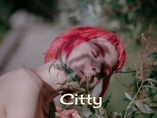 Citty