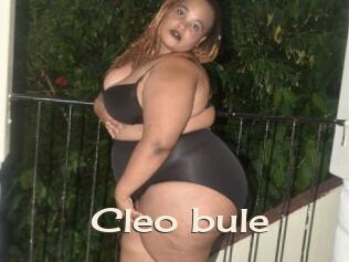 Cleo_bule