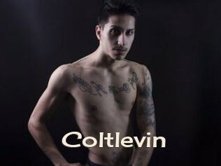 Coltlevin