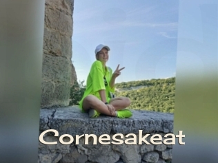 Cornesakeat