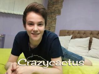 Crazycactus