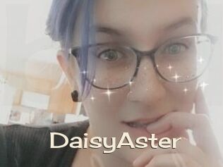 DaisyAster