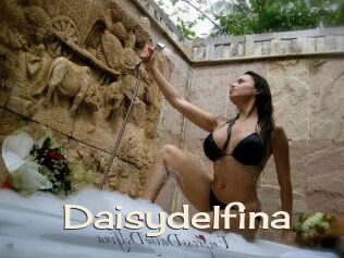 Daisydelfina