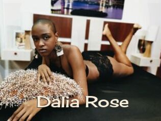 Dalia_Rose