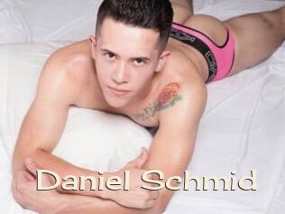 Daniel_Schmid
