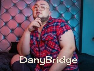 DanyBridge