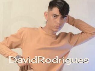 DavidRodrigues