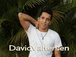 DavidValtersen