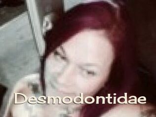 Desmodontidae