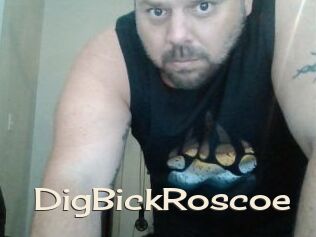 DigBickRoscoe