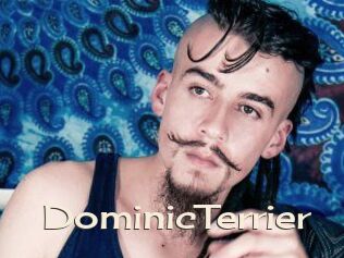 DominicTerrier