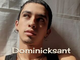 Dominicksant