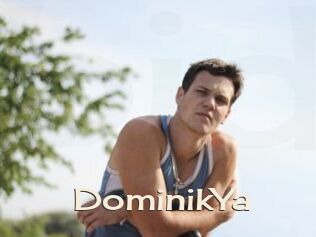DominikYa