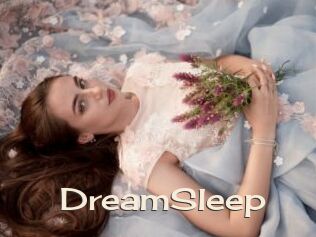 DreamSleep