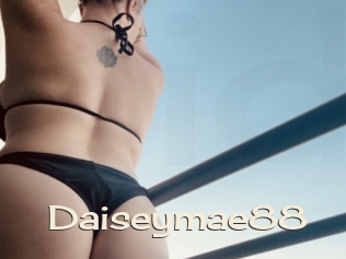Daiseymae88