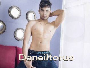 Daneil_torus