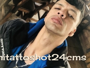 Danitattoshot24cms