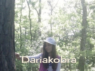 Dariakobra