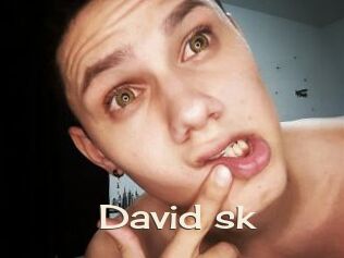 David_sk