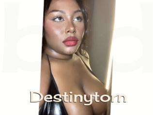 destinytorn Big Dicks Round Ass