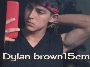 Dylan_brown15cm