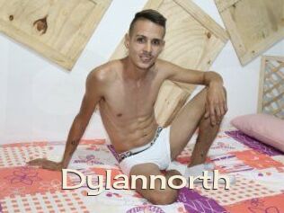 Dylan_north